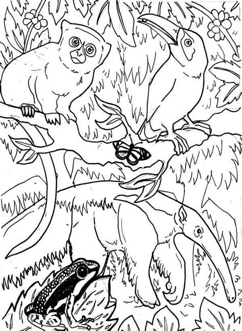 Desenhos de Animais da Amazônia para Colorir e Imprimir ColorirOnline