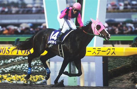 メイショウボーラー｜名馬メモリアル｜競馬情報ならjra Van