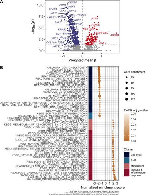 Transcriptomic Characterization A Volcano Plot Of Gene Expression