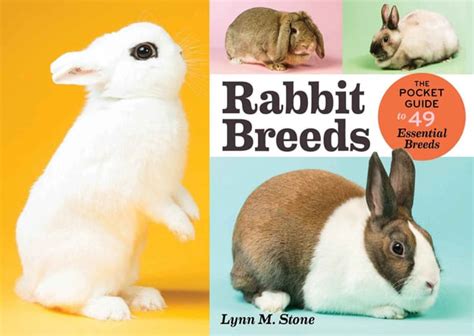 Rabbit Breeds The Pocket Guide To 49 Essential Breeds Vetbooks