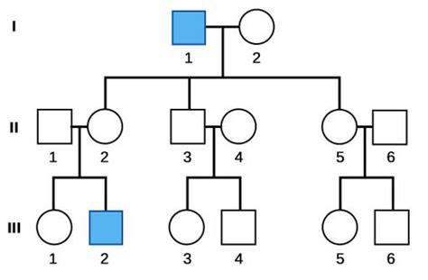 Árbol Genealógico Labster Theory