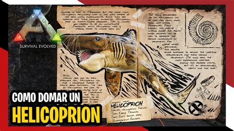 ARK Cómo domar tamear un HELICOPRION 2022 YouTube