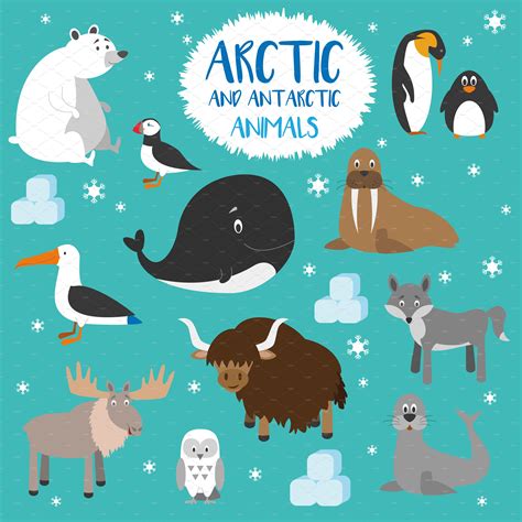 arctic animal list 9