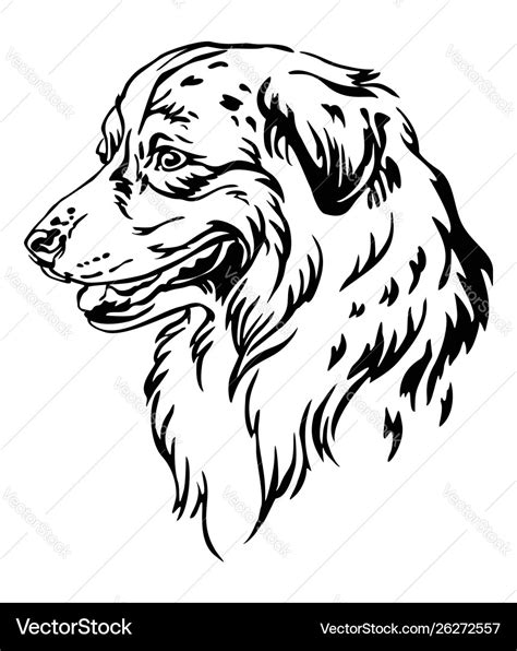 Decorative portrait australian shepherd Royalty Free Vector