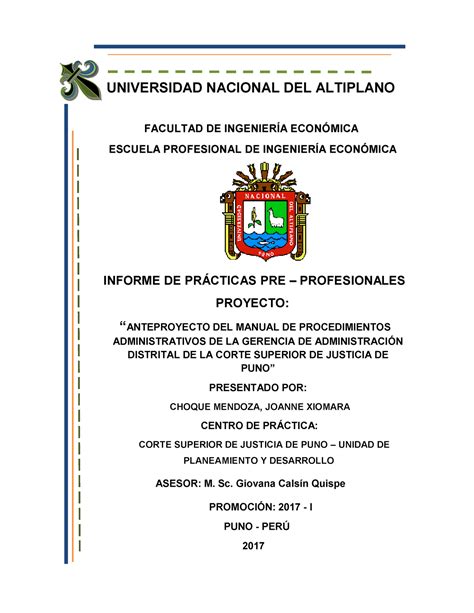 Informe De PrÁcticas Pre Profesionales Universidad Nacional Del Altiplano Facultad De