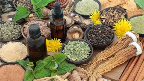 What are adaptogens in skincare and how do they work? - mamabella