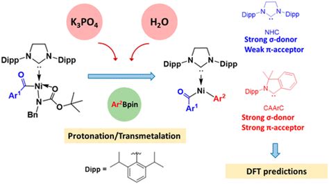 Mechanism Of Nickel Catalyzed Selective CN Bond Activation In Suzuki