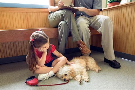 Dog Parasite Prevention and Treatment - Worms and Fleas