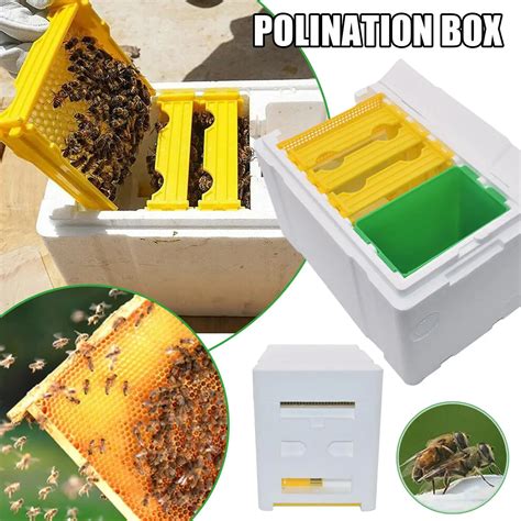 Queen Bee Breeding Box Bee Mating Box Foam Bee Hive Box Beekeeper