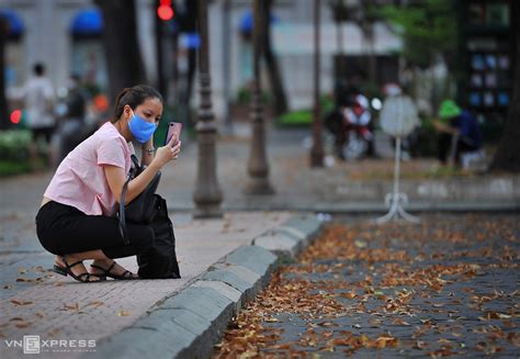 Brownish yellow hollong flowers carpet Saigon sidewalk | Vietnam Times