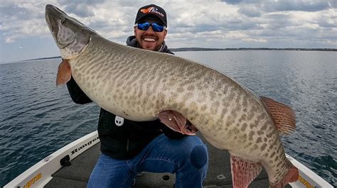 Pike Or Muskie Michigan Sportsman Forum