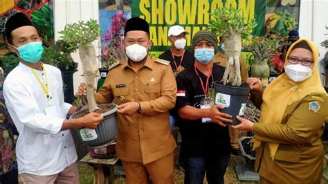 Dan Bupati Gresik Pun Dorong Petani Tanaman Hias Dan Bonsai Berani