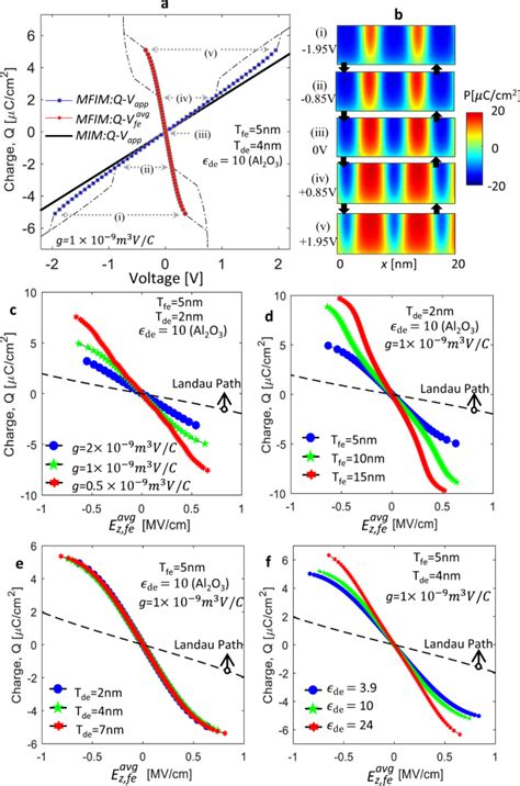 Multi Domain Negative Capacitance Effects In Metal Ferroelectric