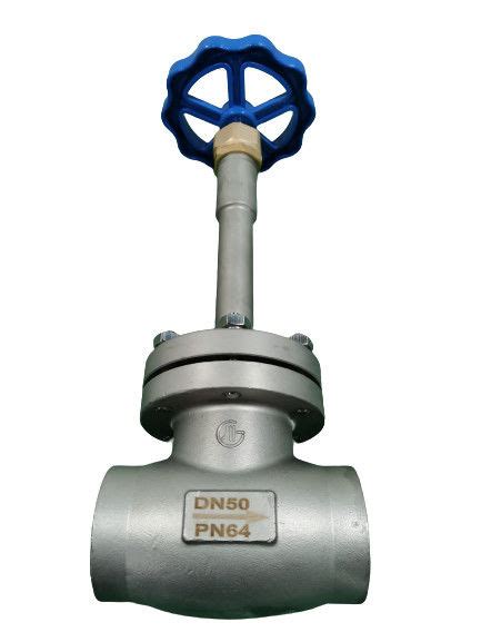 Cryogenic 304 316 PN65 DN50 Socket Weld Globe Valve