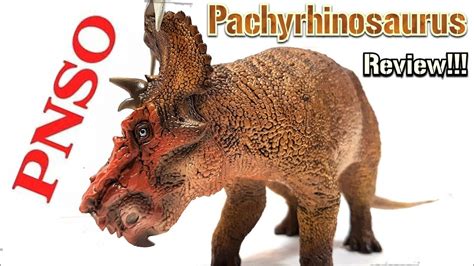 Pnso Pachyrhinosaurus Review Youtube