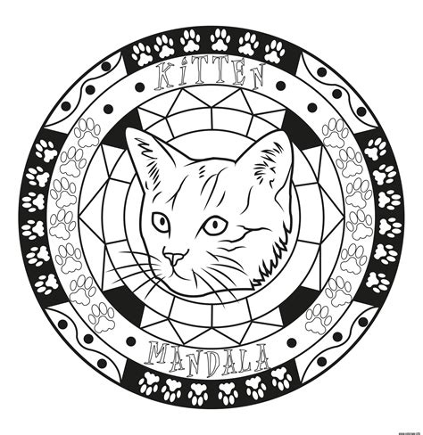 Coloriage Adulte Mandala Chat Chaton Original Facile Jecolorie