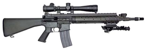 Mk 12 Special Purpose Rifle | Gun Wiki | Fandom