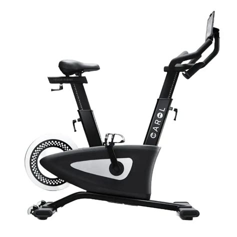 13 Best Exercise Bikes Of 2024 According To Fitness Experts