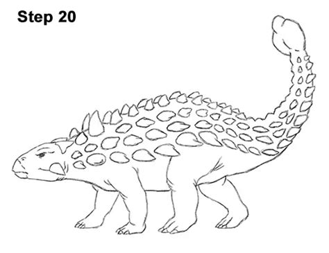 How To Draw An Ankylosaurus