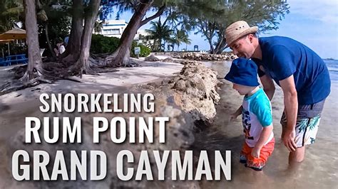 Snorkeling GRAND CAYMAN ISLAND Rum Point [4K] - YouTube