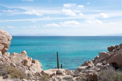 Gulf of California: A World Heritage Site of Ecological Marvels | LAC Geo