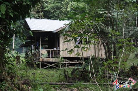 Borneo Jungle Trekking - "Survival Camp" | Travelogue - Amazing Borneo ...