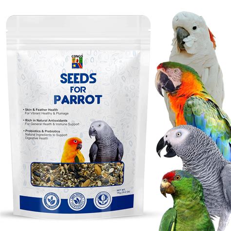 CONGO NATURAL PARROT TREAT Seeds For Parrot Healthy And Nutritional