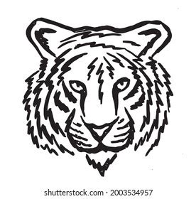 Tiger Head Hand Drawn Illustration Isolated Stock Vector Royalty Free