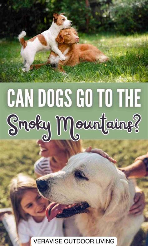 Can Dogs Go To The Smoky Mountains?