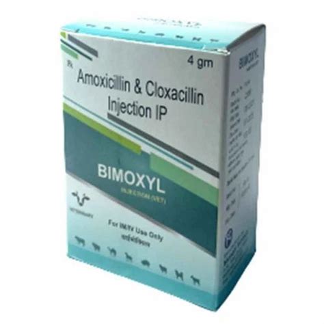 Bimoxyl 4 Gm Amoxicillin And Cloxacillin Injection At Rs 130 Vial