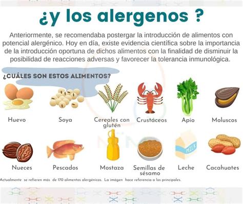 Pin de Lilia Arregoces en Alimentación complementaria sofi