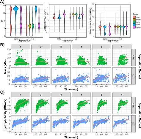 Mapping The Proteoform Landscape Of Five Human Tissues Journal Of