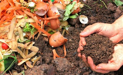 Cara Membuat Tanah Kompos Dari Bahan Sampah Organik