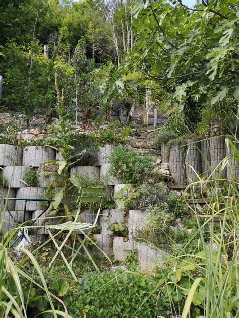 Im Permakulturgarten Von Brigitta Diggelmann Mit RILANA Von UAB JuAr