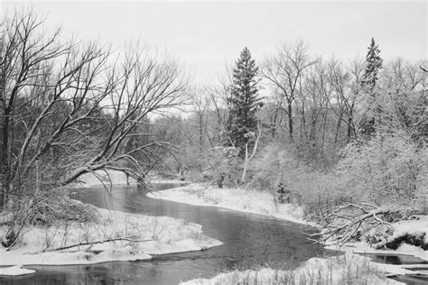 Wings & Wildflowers: Minnesota Winter