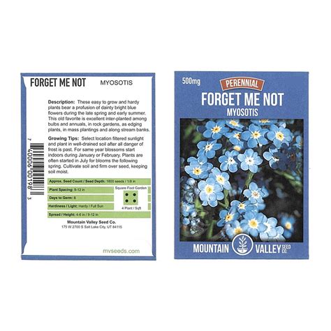 Myosotis Flower Garden Seeds Sylvatica Forget Me Not 500 Mg Packet