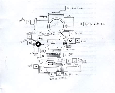 Sarah Carlson Journal: Camera and enlarger parts