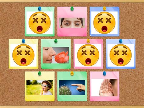 5 Senses Memory Flip Tiles