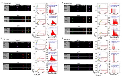 Simultaneous Imaging And Flow Cytometry Based Detection Of Multiple