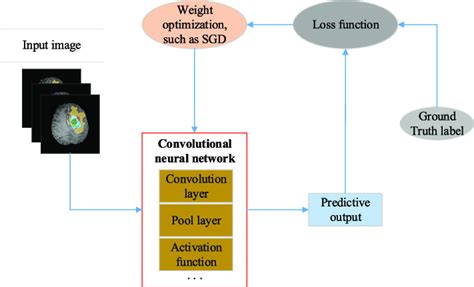 Convolutional Neural Network Training Process Download Scientific