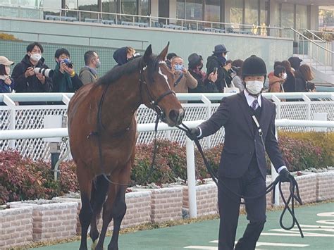 Yoshi Hata On Twitter 勝ったのは一番人気シャザーン！ 最後方からの末脚一閃 5頭まとめて撫で斬り！ そして興奮