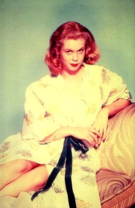 Elizabeth Elizabeth Montgomery Photo 4091172 Fanpop