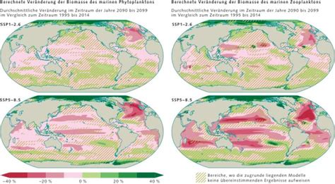 Wie Der Ozean Kohlendioxid Aufnimmt World Ocean Review