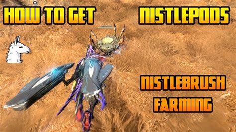 Let S Play Warframe How To Get Nistlepods Nistlebrush Farming Youtube