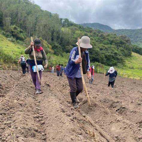 Iniap On Twitter Imbabura Junto A Productores De La Comunidad