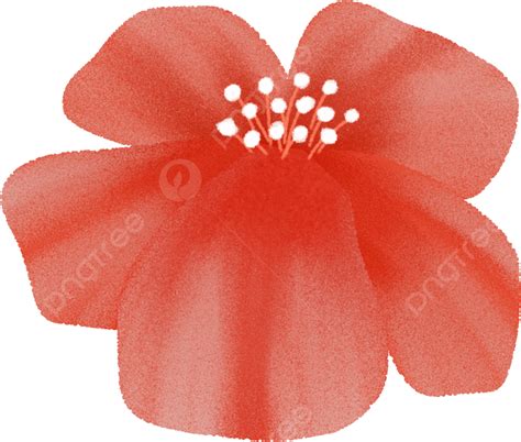 Ilustração De Flor De Laranjeira Png Fotos De Flores Ilustração De Flor Flor Imagem Png E