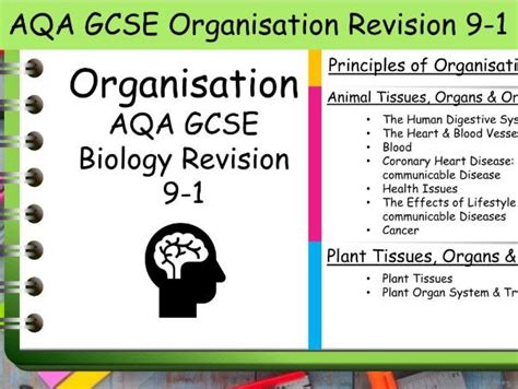 B Organisation Aqa Gcse Science Biology Revision Teaching Resources