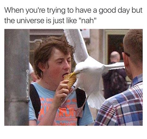 smallish collection  funny pictures funny hilarious funny picture