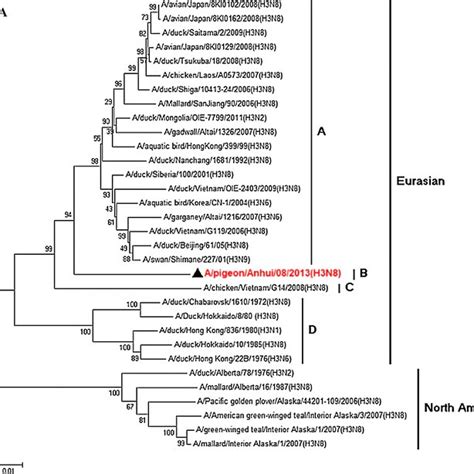 Phylogenetic Tree Of The Ha Na Pb Pb Pa Np M And Ns Genes Of