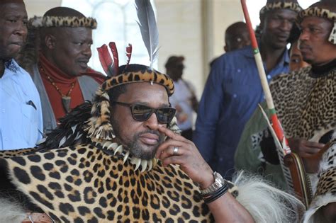 Parliamentary Committee Wants An Audience With Zulu King Over Ingonyama Disputes News24